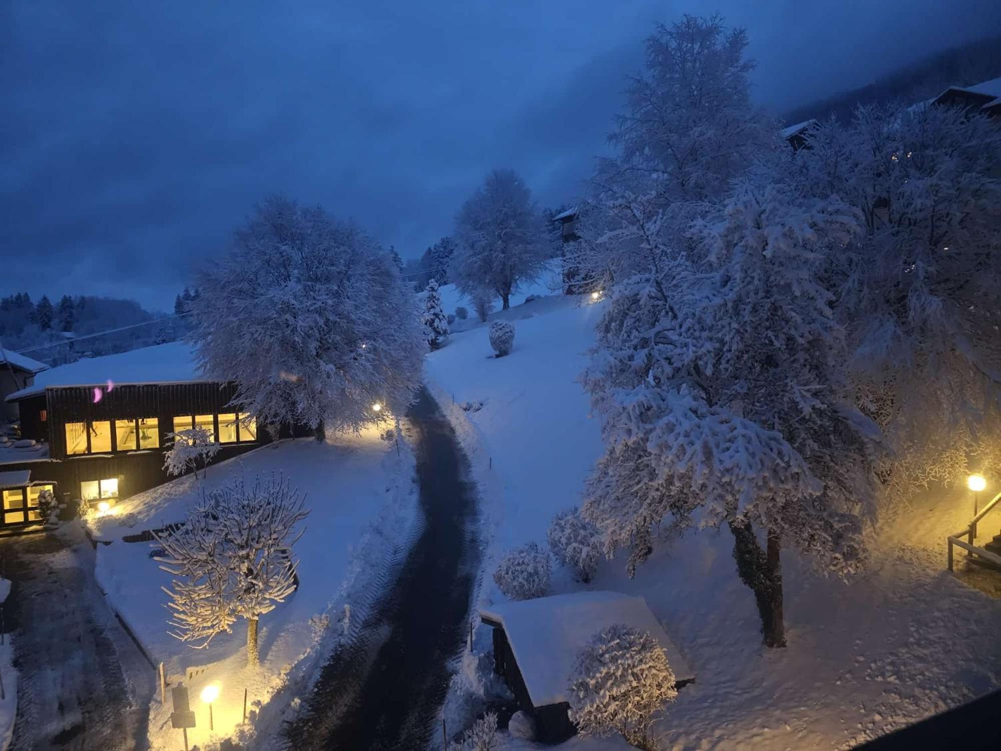Sonnen-Juwel - Hallenbad-Sauna-2 Getrennte Schlafbereiche-Direkt An Der Skipiste Missen-Wilhams Exterior photo